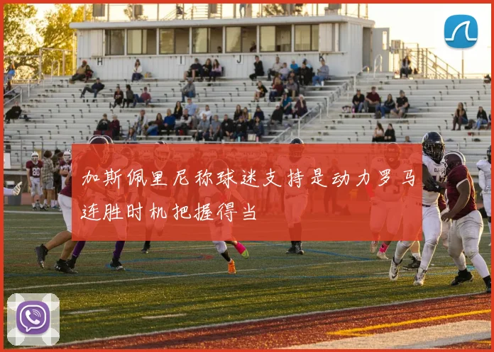 加斯佩里尼称球迷支持是动力罗马连胜时机把握得当